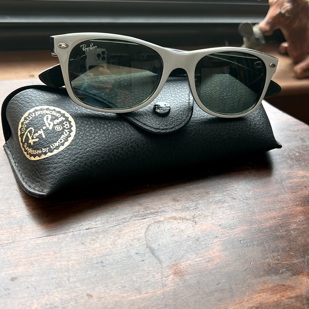 Ray-Bans Wayfarer Sunglasses w/ Case